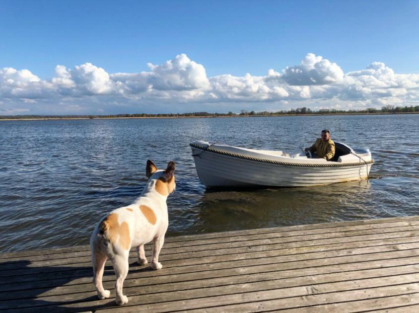 Apartament Herbals - Tree&lake With Bath, Sauna, Bikes, Motorboat *